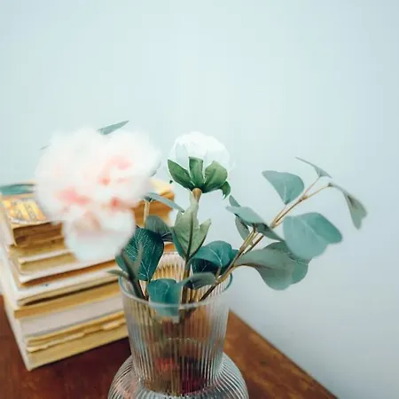 Sinta O Coracao Lisboeta Apartmán *